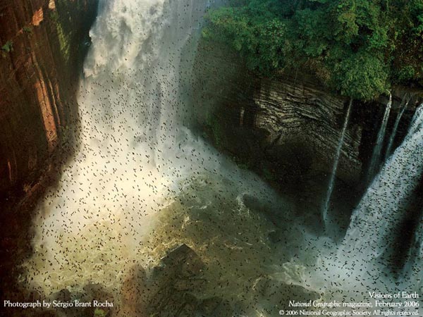 National Geographic Magazine - February 2006 - Visions of Earth - Photograph by Sérgio Brant Rocha